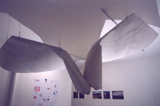 2004 - Avion protopype 1 - Olivier Grossetête