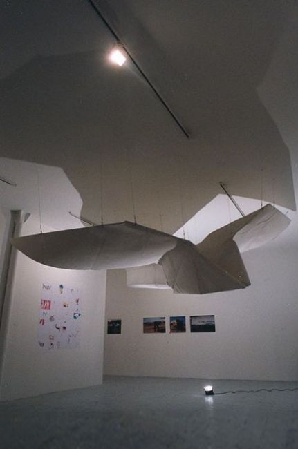 2004 - Avion protopype 1 - Olivier Grossetête